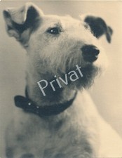 Kunst XL Foto aus Nachlass