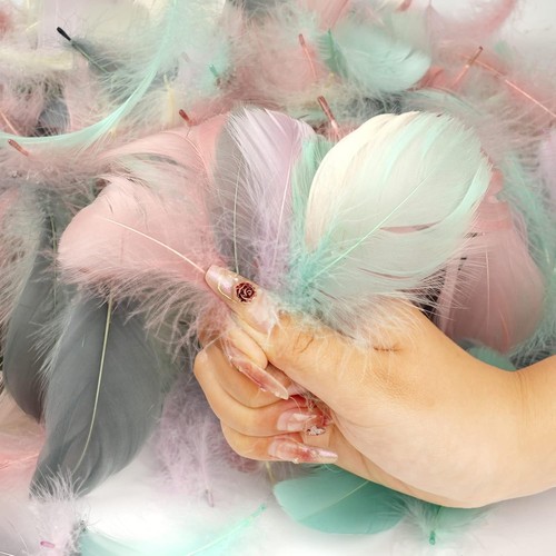 Bastelfedern set 300 - bastelfedern, set,
