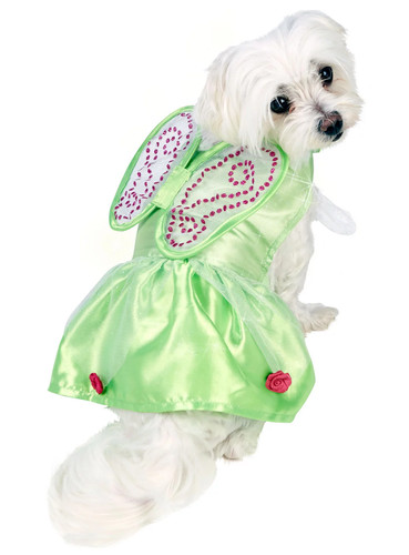Tinkerbell hundekostüm - tinkerbell,