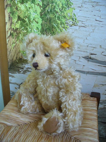 Steiff teddy bär - steiff,