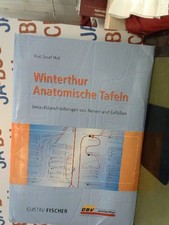 Winterthur Anatomische Tafeln. Verlaufsbeschreibung von Nerven und Gefässen. Mol