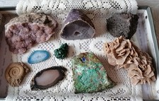 Mineralien + 1 Fossilie  aus