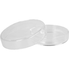 Petrischale 6 cm 1St -