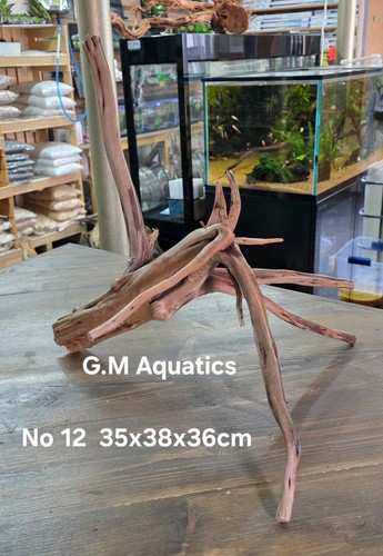 Spider slim holz aquascape - spider,