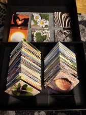 Memory Spiel Von Hartung