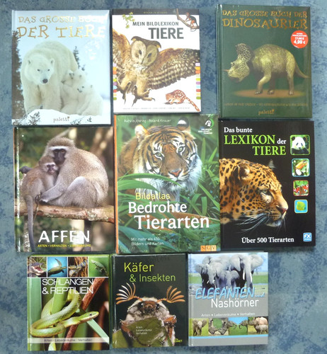 Tierbücher kinder affen - tierbücher,