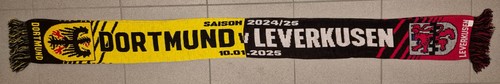 Borussia dortmund bayer 04 - dortmund,