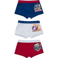 Dragons Kinder Unterwäsche 3