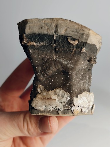 Septarie herkimer oder - herkimer,