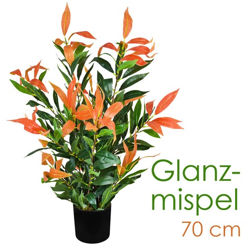 Künstliche glanzmispel - künstliche,