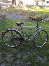 trecking fahrrad herren 28 zoll Peugeot Palermo Rahmenhöhe ca 55-56cm
