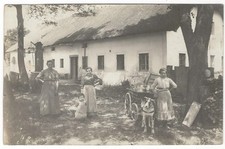 19/803 AK HUND ALS ZUGTIER WASSERPUMPE - DACH MIT STROH GEDECKT HANDWAGEN gel.