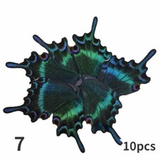 10PCS Echt Papilio