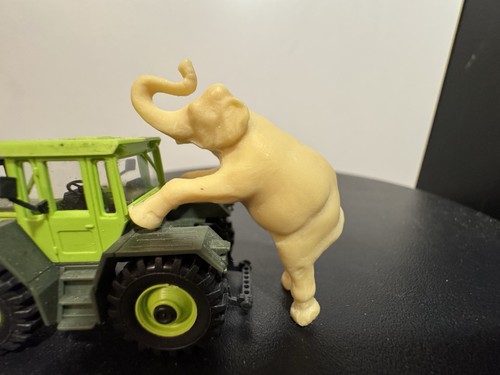 Mek zirkus oder zoo - zoo, elefant
