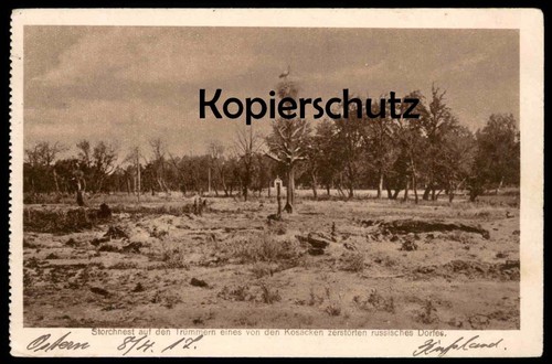 Alte postkarte storchnest - alte,