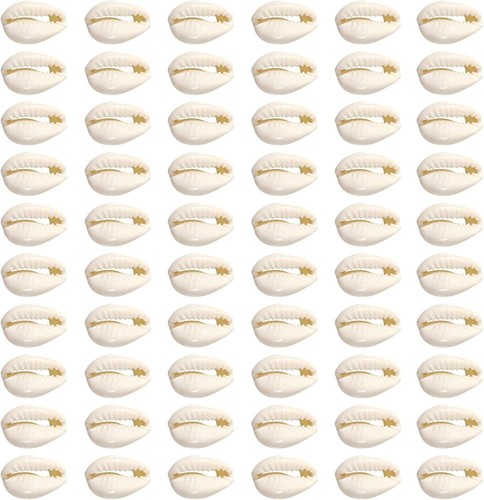 Beige kauri muscheln - beige,