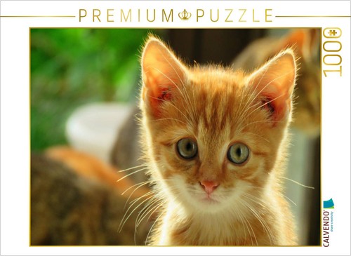 Calvendo puzzle roter kater - puzzle,