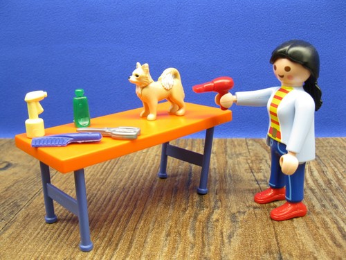 Beim hundefriseur figur frau - figur,