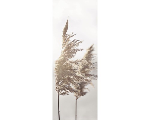 Glasbild the breeze iii - in,