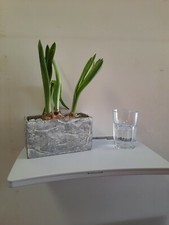 Genuine Lufthansa Folding