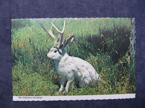 Alte postkarte mit - alte, dem