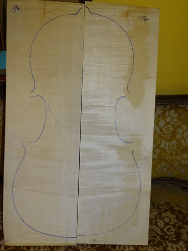 Tonholz tonewood klasse - tonewood,,