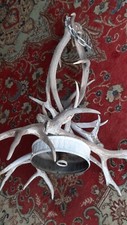Geweihlampe aus Rothirsch