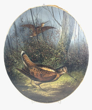 Gemälde Schnepfe Vogel A. Rohlfs rechts unten signiert Berliner Jagdmaler 19. Jh