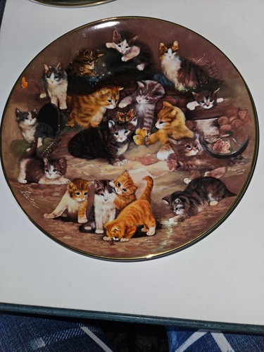 Katzen-Porzellan-Sammelteller