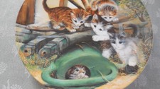 Seltmann Weiden Sammelteller Katzen, 1992  "Versteckspiel" gebraucht!