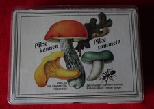 Pilze kennen Pilze sammeln