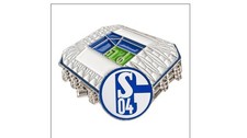 Schalke  04  Anstecker Stadion