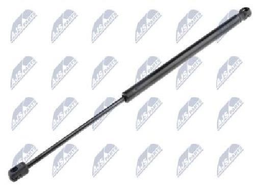 Genuine nty gas spring - nty,