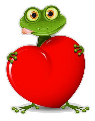 Autoaufkleber sticker frosch - autoaufkleber,