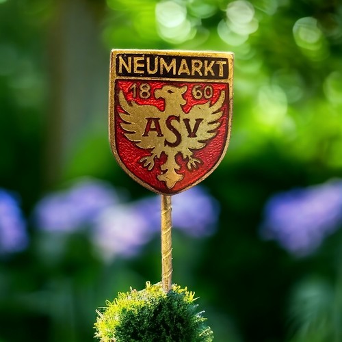 Haken anstecknadel asv - anstecknadel,