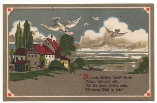 Brieftauben tauben mit - tauben,