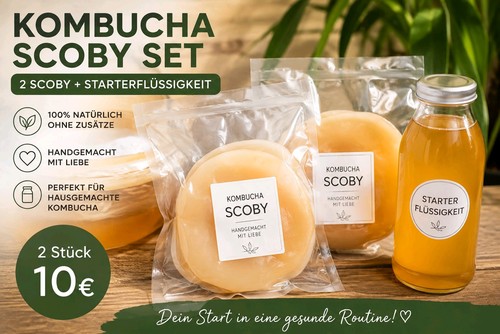 Kombucha scoby mit - 2x,