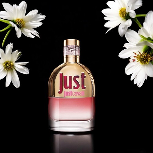 Roberto cavalli just - just,