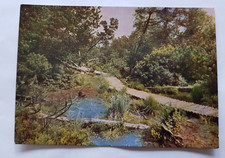 AK  Naturschutzgebiet Georgenfelder Hochmoor - Osterzgebirge