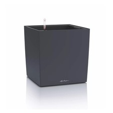 Lechuza CUBE Color 40