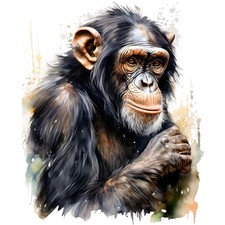 8x sticker chimpanzee car