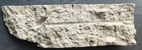 Original berliner mauer - original,