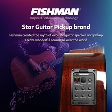 Fishman 4 Band 301 EQ Tuner