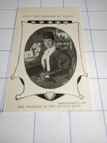 Die prinzessin von wales - die,