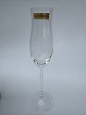 NACHTMANN Glas CELESTE klar SEKTKELCH 24,5 cm ungenutzt