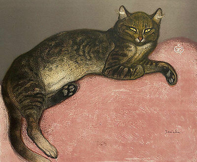 Winter cat a - winter, on