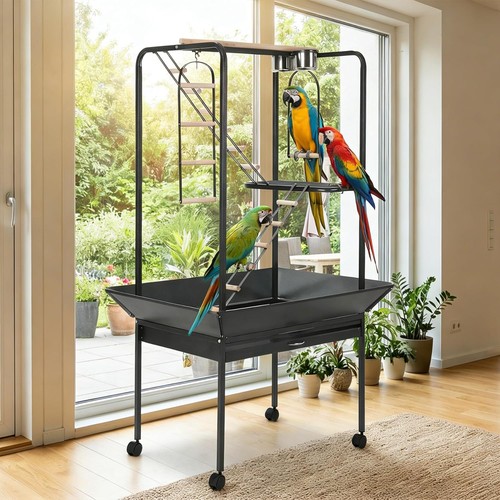 Vogelkäfig wellensittich - vogelkäfig,