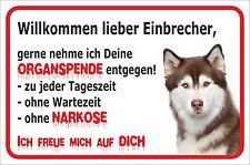 Schild Vorsicht - Siberian