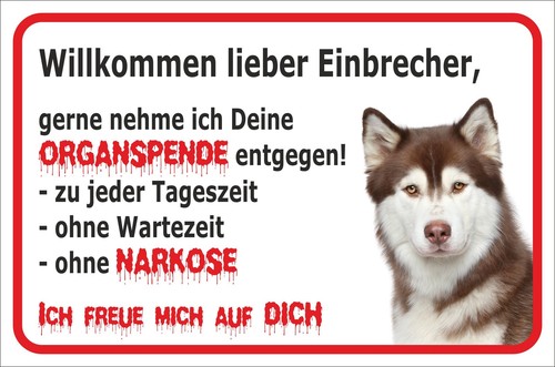 Schild vorsicht siberian - vorsicht,