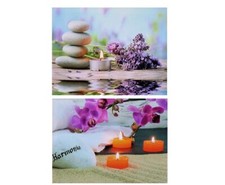 2 Wandbilder Orchidee Flieder